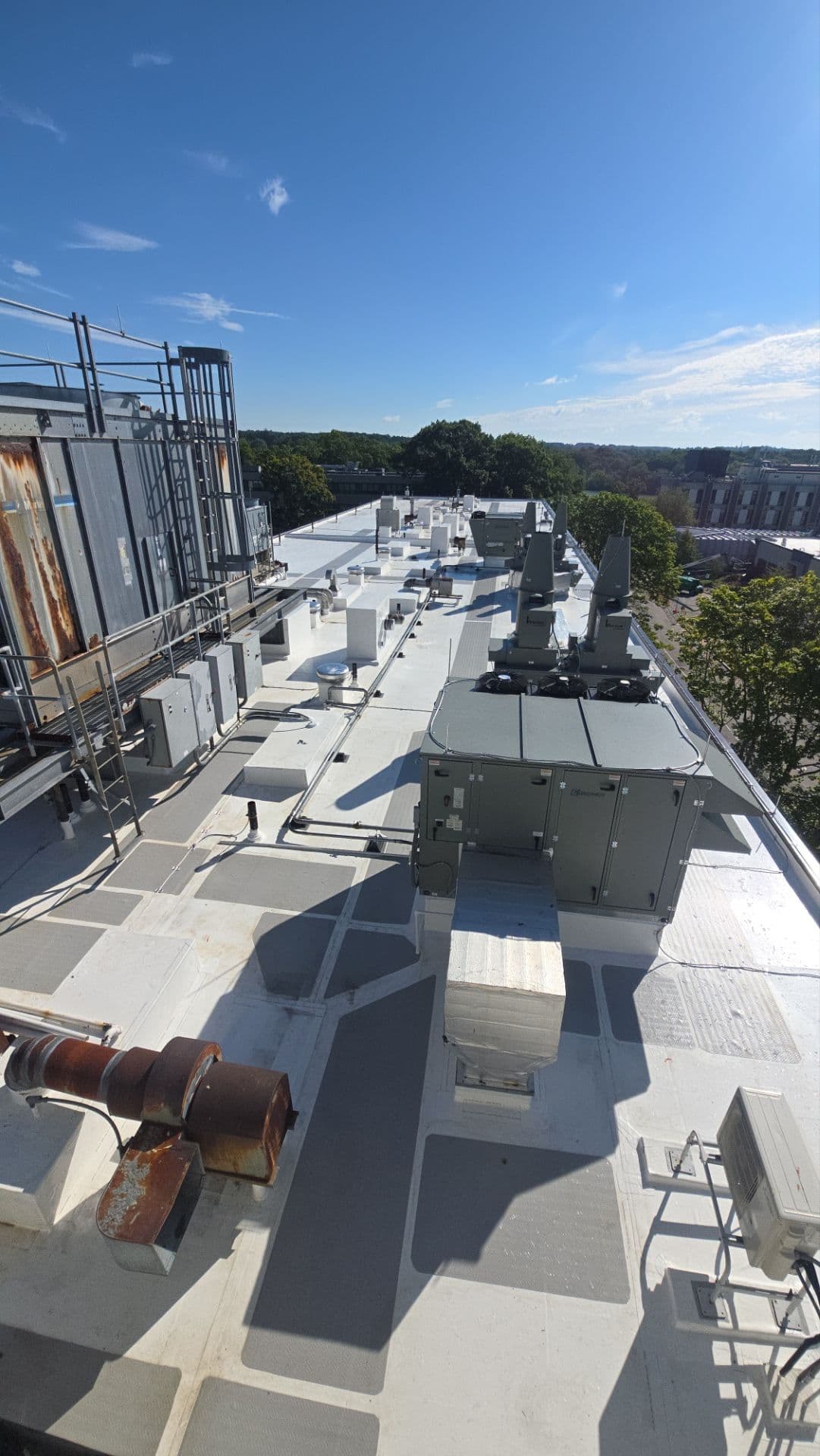 Rooftop mechanical equipment surrounded by white membrane and connected gray walkway pads